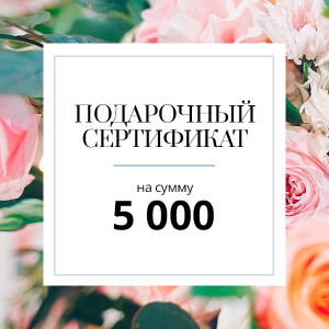 Подарочный сертификат номиналом 5000 руб.